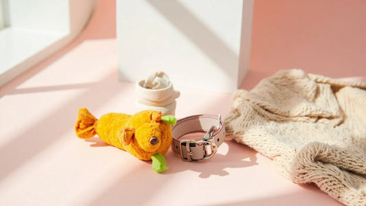 playful premium pet accessories on pastel background in soft natural light
