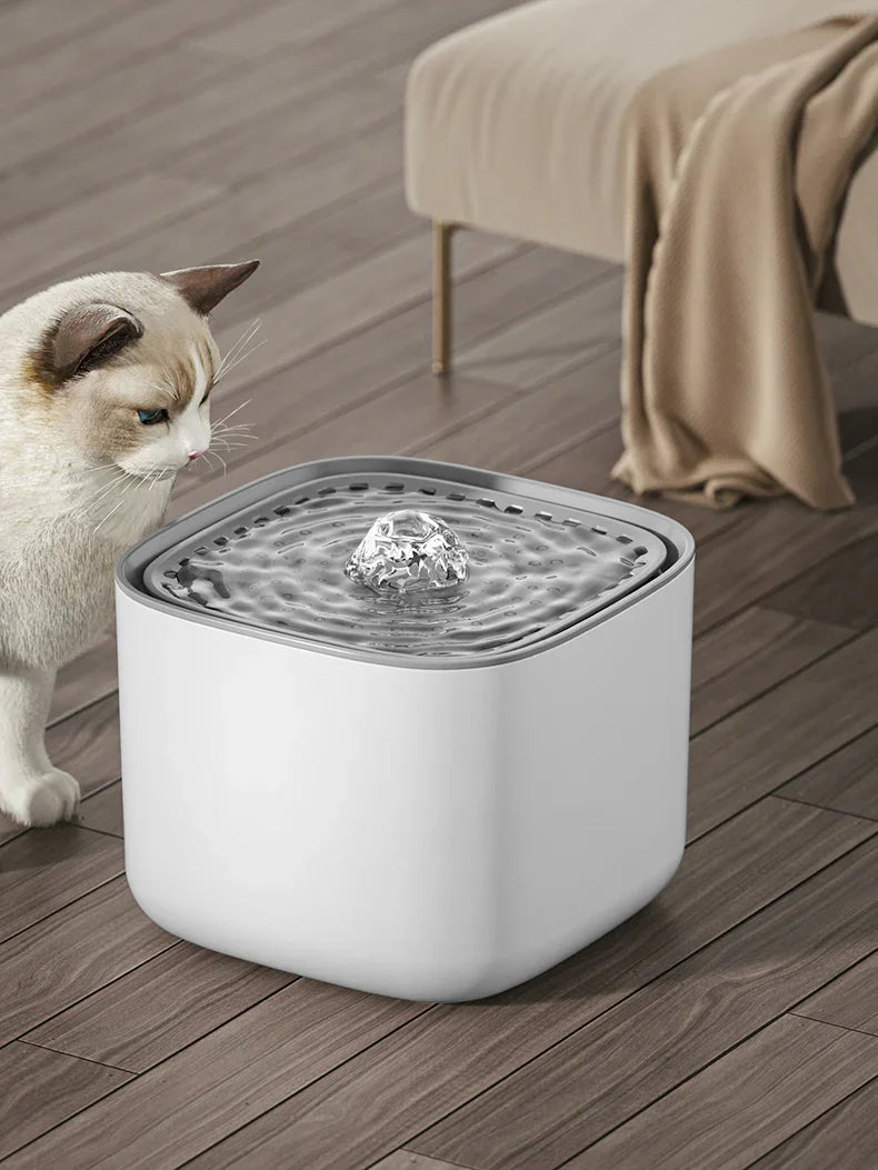 Cat Water Dispenser Smart Water Dispenser Live Water Automatic Circulation Filter Pet Water Dispenser
