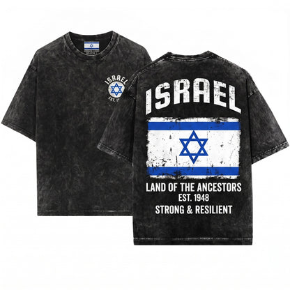 Israel Flag Patriotic Jewish National Friend Gift Unisex Wash T-Shirt