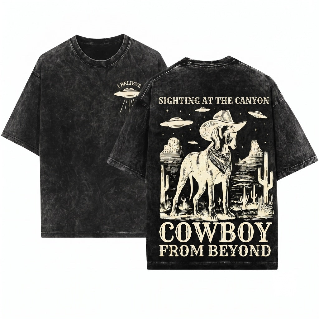 Vintage Bracco Italiano UFO Alien Space Cowboy Western Country Hunting Dog Mom Dad Retro Unisex Wash T-Shirt