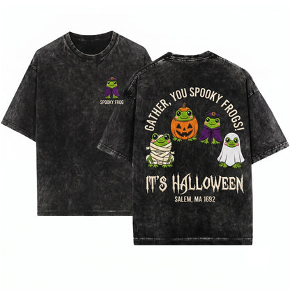 Just A Spooky Frog Embroidered Sweatshirt Halloween Cute Kawaii Pullover Season Gift Unisex Wash T-Shirt