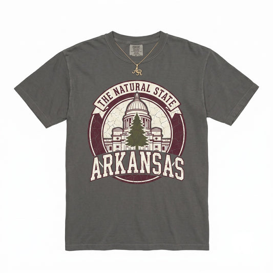 Arkansas Football Gameday Razorbacks College Tailgate Apparel Unisex TShirt