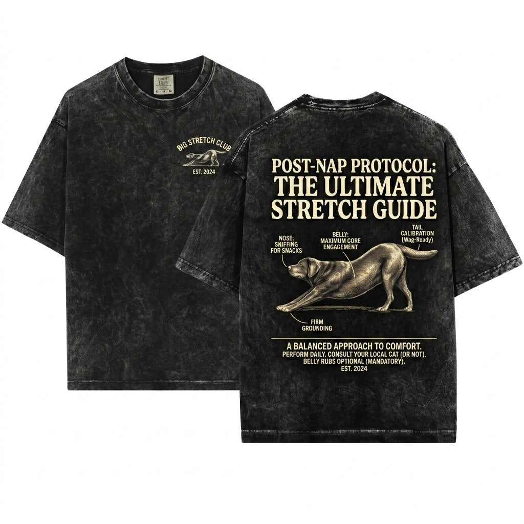 Funny Vintage Big Stretch Chocolate Labrador Retriever Dog Lover Gift Unisex Wash T-Shirt