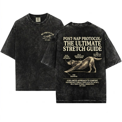 Funny Vintage Big Stretch Chocolate Labrador Retriever Dog Lover Gift Unisex Wash T-Shirt