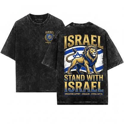 Israel Flag Patriotic Jewish National Friend Gift Unisex Wash T-Shirt
