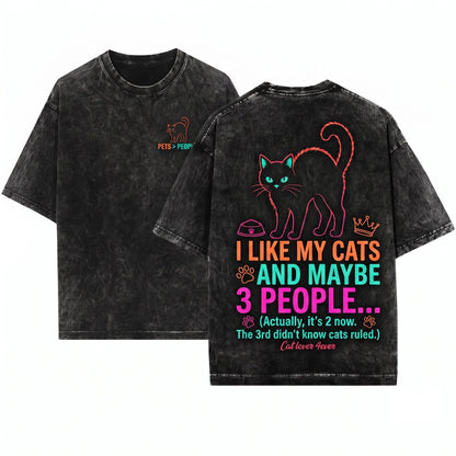 I Like My Cat And Maybe 3 People Funny Introvert Sarcastic Pet Lover Gift Unisex Wash T-Shirt
