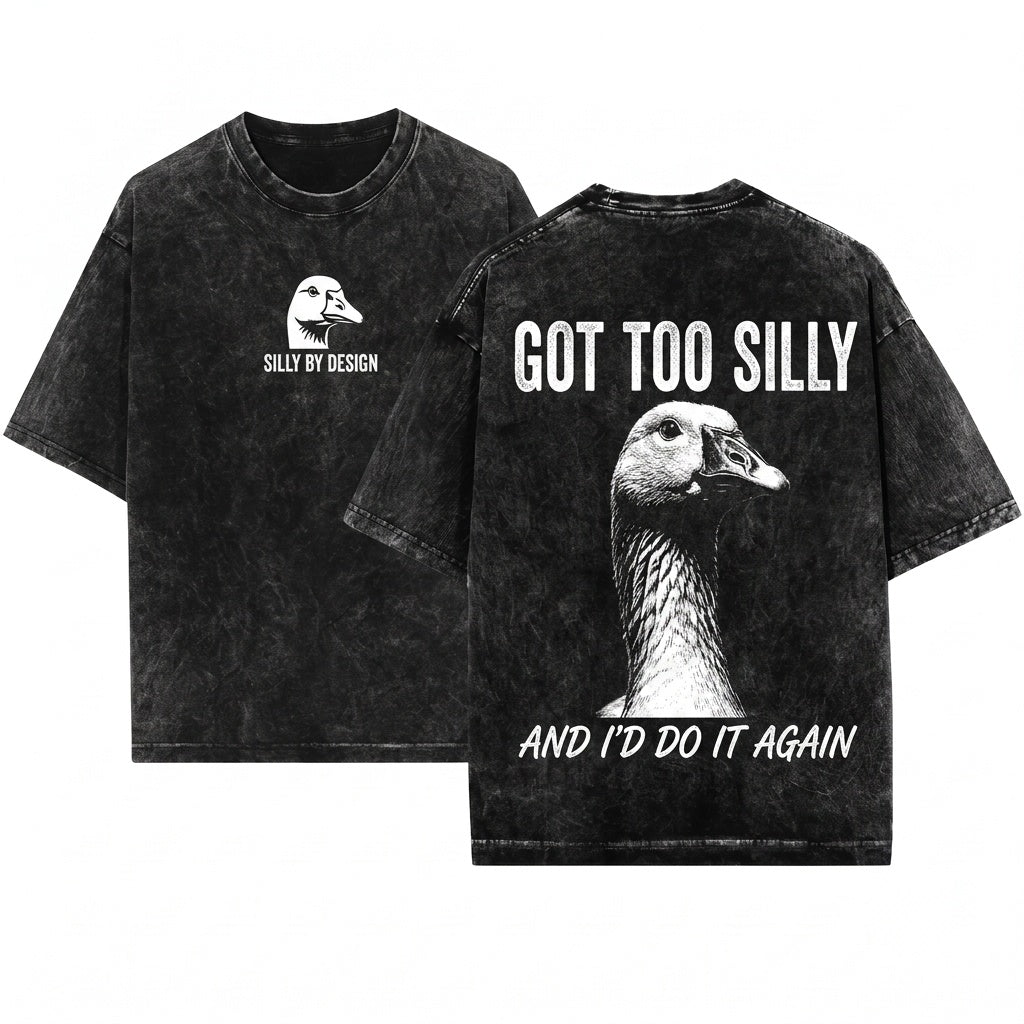 Got Too Silly Goose Jailbird Viral Meme Funny Sarcastic Animal Graphic Unisex Wash T-Shirt