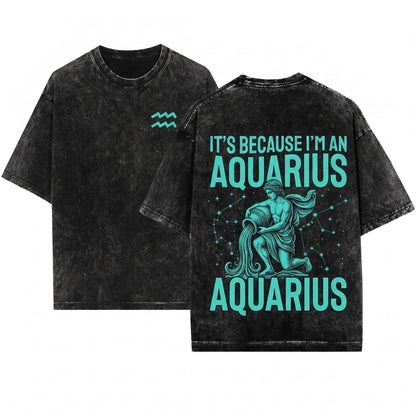 Its Because Im Aquarius Funny Horoscope Astrology Zodiac Sign Birthday Gift Unisex Wash T-Shirt