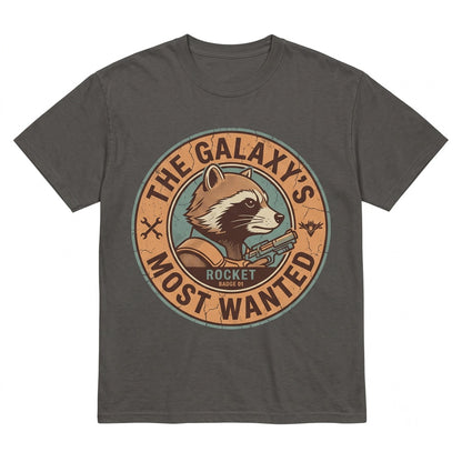 Vintage Space Raccoon Cosmic Graphic Sweatshirt, Retro Galaxy Theme Park Mission Unisex TShirt