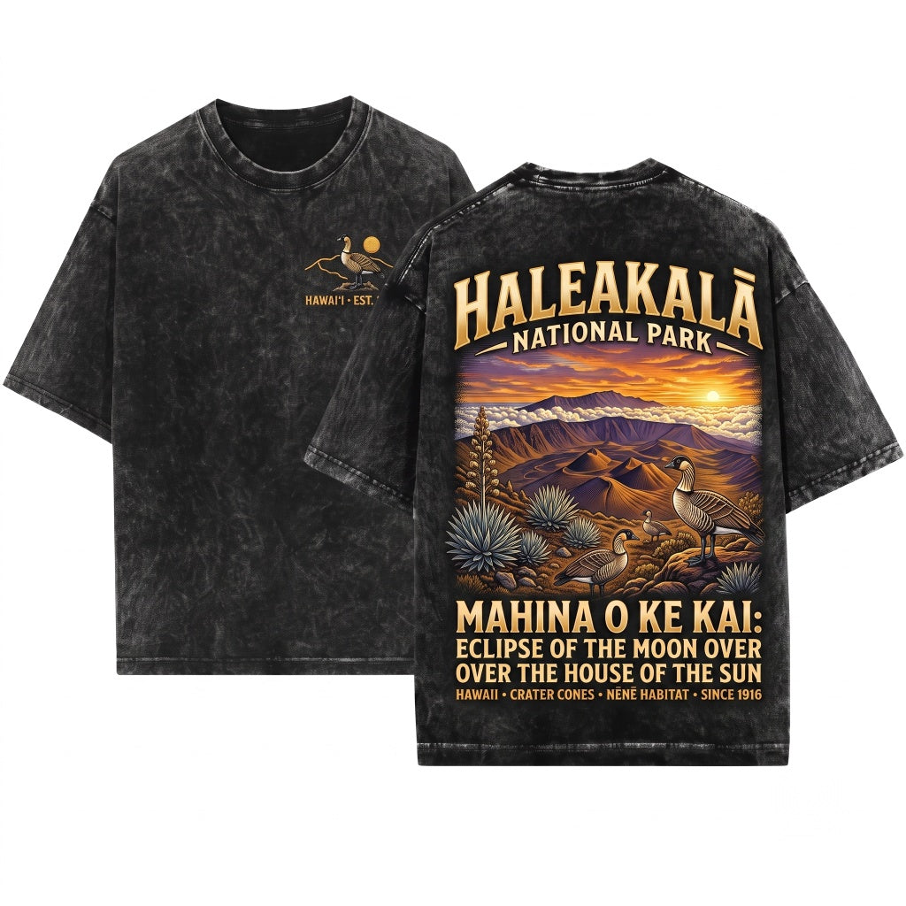 Haleakala National Park Vintage Hawaii Volcano Maui Sunset Landscape Tropical Adventure Travel Unisex Wash T-Shirt