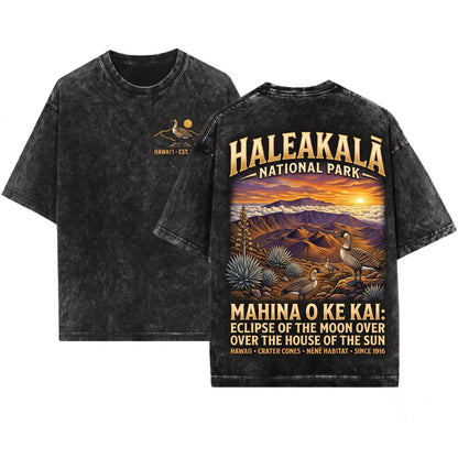 Haleakala National Park Vintage Hawaii Volcano Maui Sunset Landscape Tropical Adventure Travel Unisex Wash T-Shirt