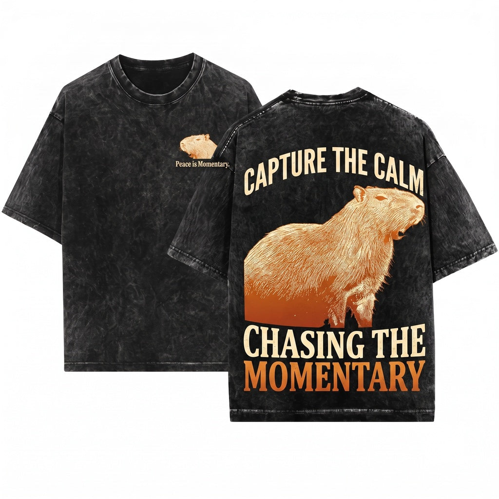 Peace Is Momentary Capybara Funny Meme Animal Graphic Vintage Chill Unisex Wash T-Shirt