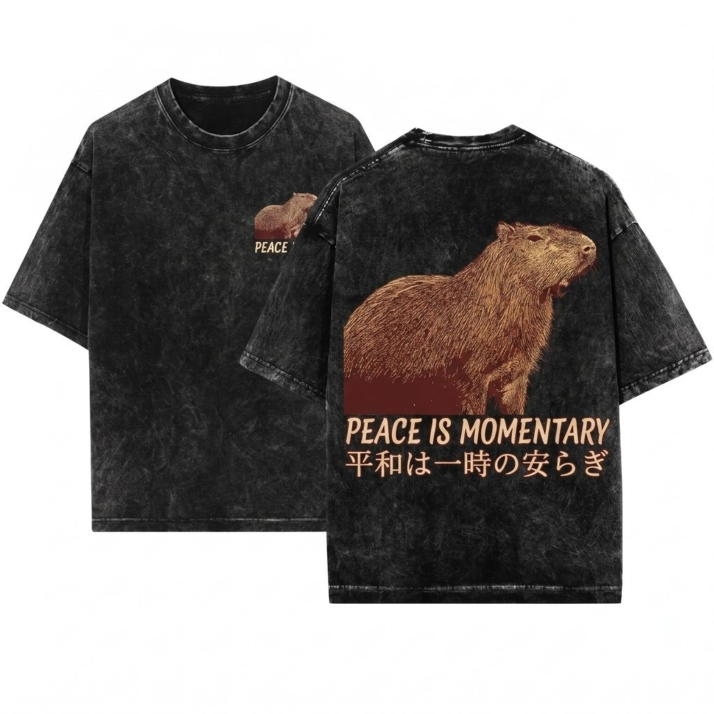 Peace Is Momentary Capybara Funny Meme Animal Graphic Vintage Chill Unisex Wash T-Shirt