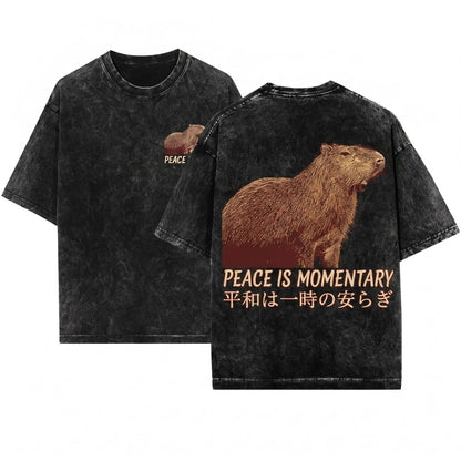 Peace Is Momentary Capybara Funny Meme Animal Graphic Vintage Chill Unisex Wash T-Shirt