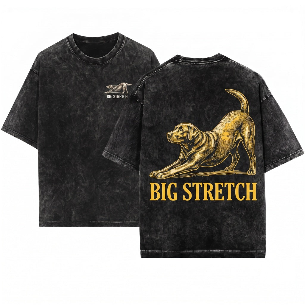 Funny Big Stretch Vintage Chocolate Labrador Retriever Dog Lover Gift Unisex Wash T-Shirt