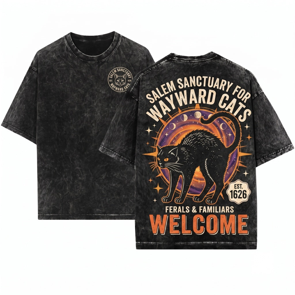 Salem Sanctuary Black Cat Vintage Witchy Halloween Unisex Wash T-Shirt