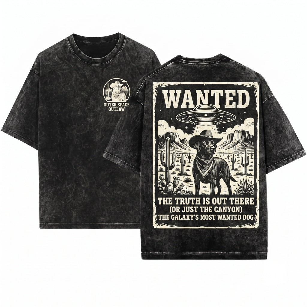 UFO Cowboy Western Black Labrador Ranch Dog Owner Mom Dad Gift Unisex Wash T-Shirt