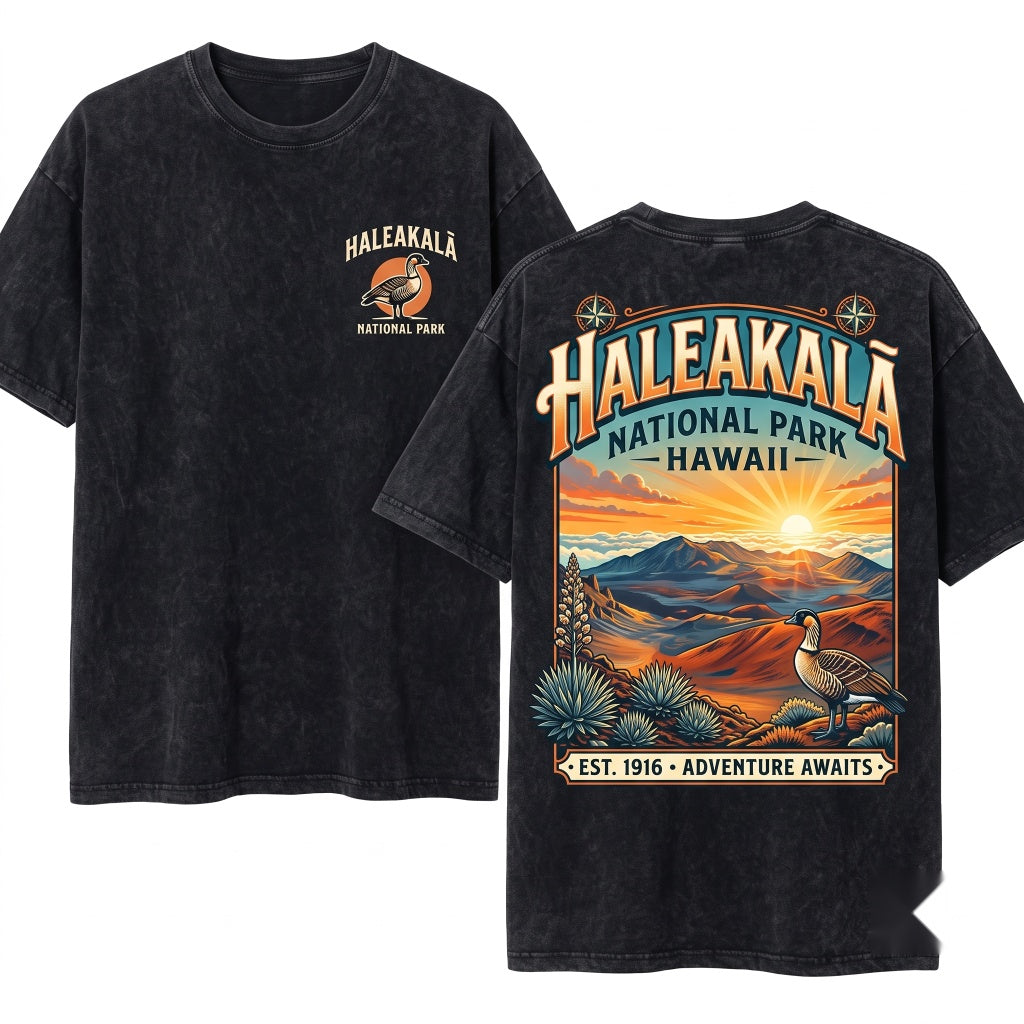 Haleakala National Park Vintage Hawaii Volcano Maui Sunset Landscape Tropical Adventure Travel Unisex Wash T-Shirt