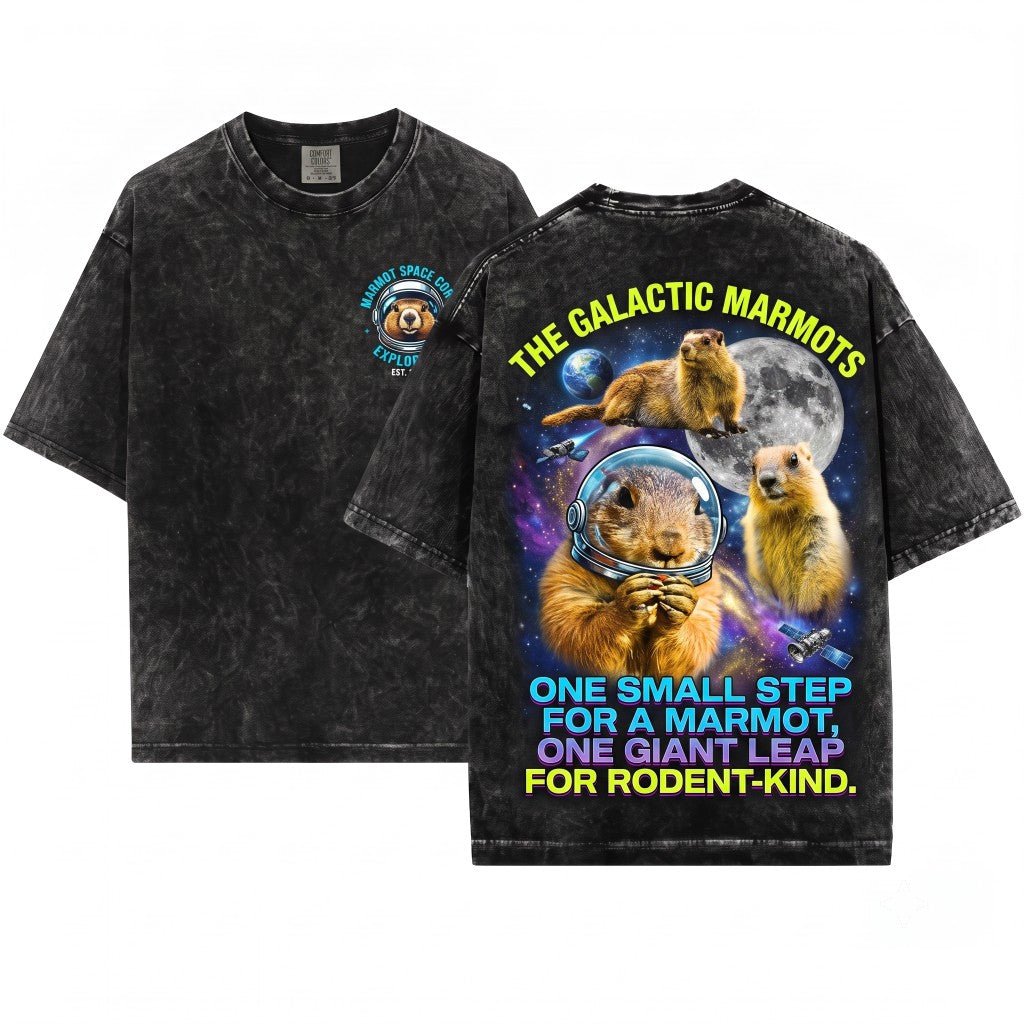 Oversized Groundhog Moon Graphic Retro Funny Cute Animal Unisex Wash T-Shirt