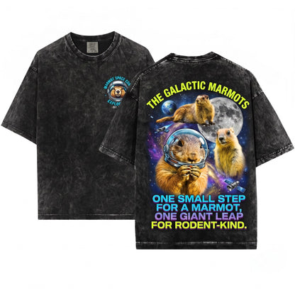 Oversized Groundhog Moon Graphic Retro Funny Cute Animal Unisex Wash T-Shirt
