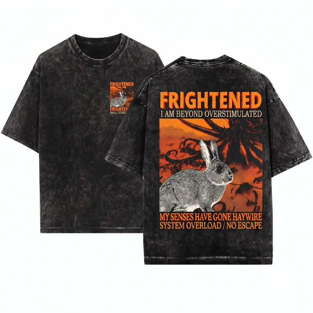 Retro Frightened Japanese Rabbit Graphic Unisex Wash T-Shirt