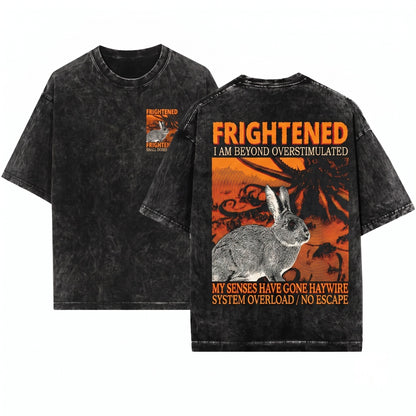 Retro Frightened Japanese Rabbit Graphic Unisex Wash T-Shirt