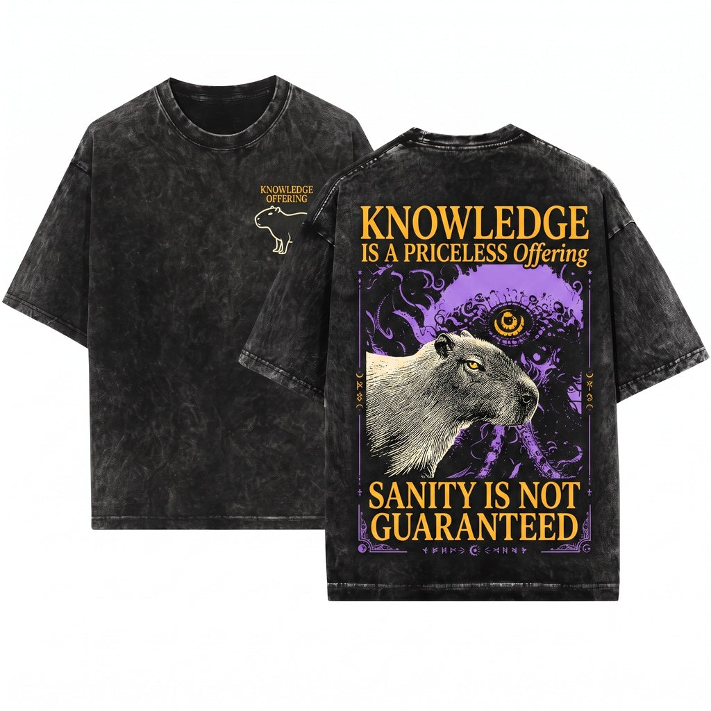 I Offer My Sanity Vintage Japanese Capybara Funny Graphic Top Apparel Men Women Unisex Wash T-Shirt