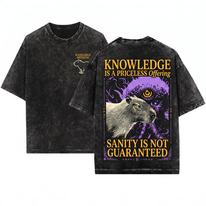 I Offer My Sanity Vintage Japanese Capybara Funny Graphic Top Apparel Men Women Unisex Wash T-Shirt