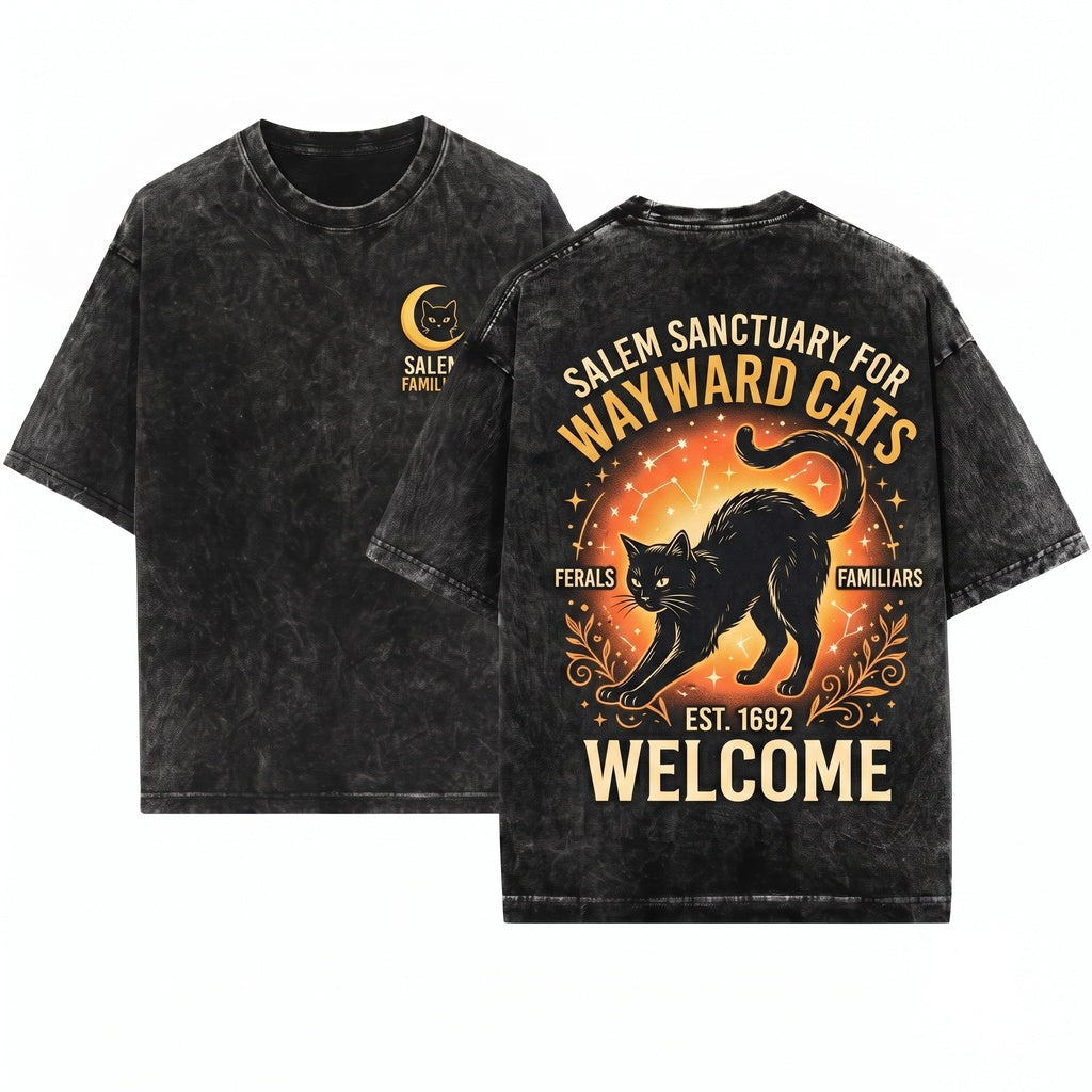 Salem Sanctuary Black Cat Vintage Witchy Halloween Unisex Wash T-Shirt