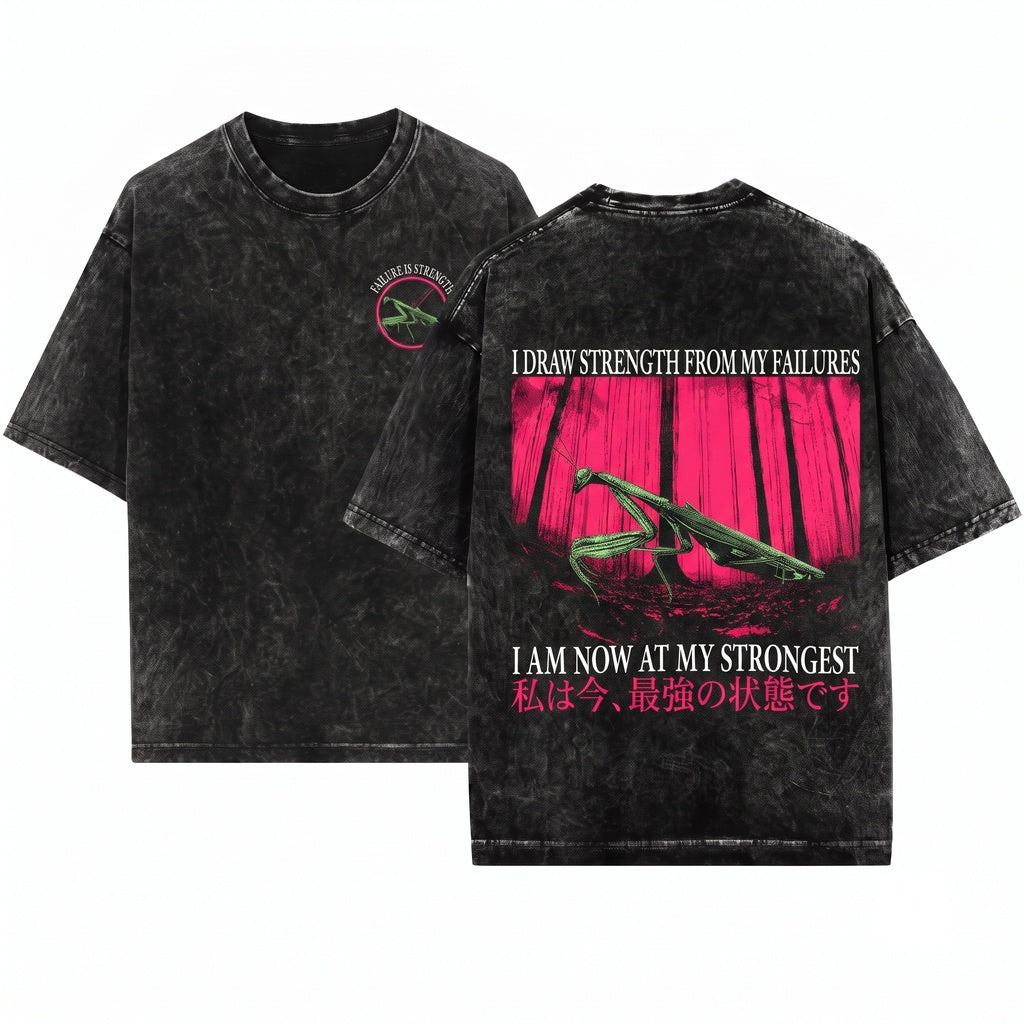 Vintage Japanese Praying Mantis I Draw Strength From My Failures Graphic Aesthetic Retro Unisex Wash T-Shirt