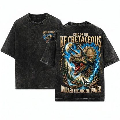 Vintage Moonlit Forest Triceratops Dark Fantasy Prehistoric Dino Gift Unisex Wash T-Shirt