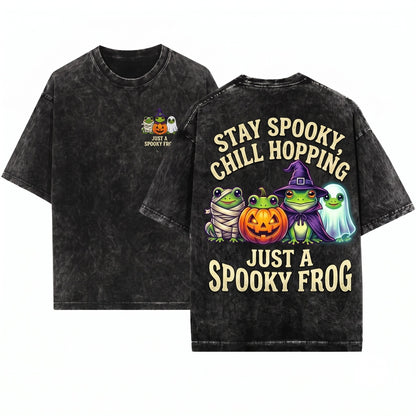Just A Spooky Frog Embroidered Sweatshirt Halloween Cute Kawaii Pullover Season Gift Unisex Wash T-Shirt