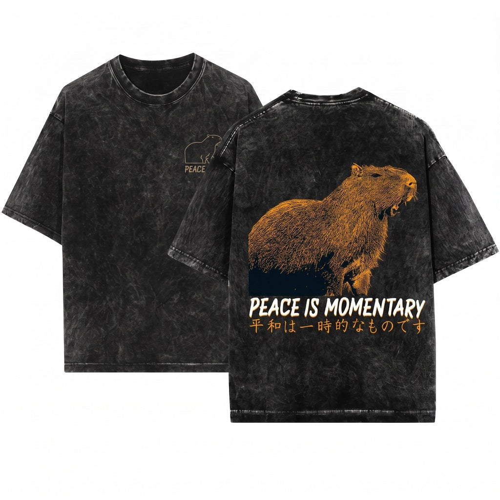 Peace Is Momentary Capybara Funny Meme Animal Graphic Vintage Chill Unisex Wash T-Shirt