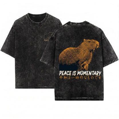 Peace Is Momentary Capybara Funny Meme Animal Graphic Vintage Chill Unisex Wash T-Shirt