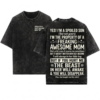 Mens Funny Im A Spoiled Son Novelty Birthday Present Unisex Wash T-Shirt
