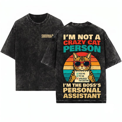 Funny Sarcastic Not Crazy Cat Person Kitty Pet Parent Lover Gift Unisex Wash T-Shirt