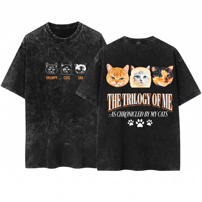 Me in Three Pictures Cat Funny Mood Graphic Tee - Emotional Meme Kitten Mom Dad Gift - Unisex Heavyweight Garment-Dyed T-Shirt