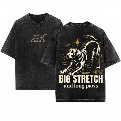Funny Big Stretch Vintage Chocolate Labrador Retriever Dog Lover Gift Unisex Wash T-Shirt