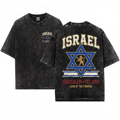 Israel Flag Patriotic Jewish National Friend Gift Unisex Wash T-Shirt