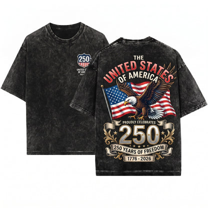America 250th Anniversary Patriotic 4th of July USA Eagle Unisex Wash T-Shirt