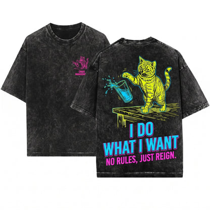 I Do What I Want Funny Sassy Cat Lover Feline Pet Sarcastic Graphic Unisex Wash T-Shirt
