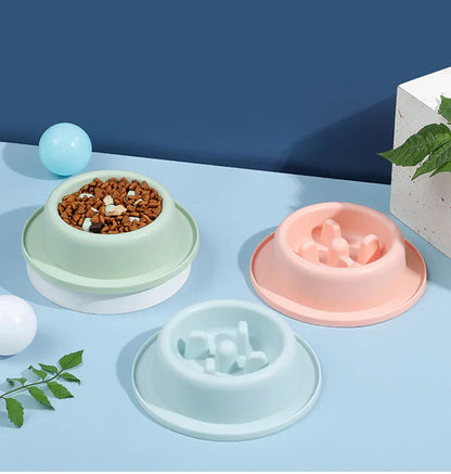 Cat and Dog Shared Pet Slow Food Slow Food Bowl