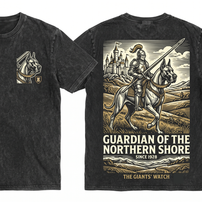 Retro 90s Medieval Great Dane Knight Graphic Tee Vintage Dark Art Grimdark Funny Dog Meme Unisex Heavyweight Garment-Dyed T-Shirt