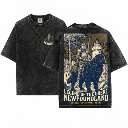 Medieval Newfoundland Knight Riding Snail Retro Grimdark Y2K Dog Mom Dad Meme Gift Unisex Heavyweight Garment-Dyed T-Shirt