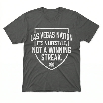 Notorious Silver & Black Vegas Football "We Don't Play Nice" Fan Apparel (T-shirt, Tank, Long Sleeve, Sweatshirt, Hoodie)