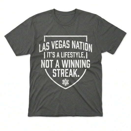 Notorious Silver & Black Vegas Football "We Don't Play Nice" Fan Apparel (T-shirt, Tank, Long Sleeve, Sweatshirt, Hoodie)