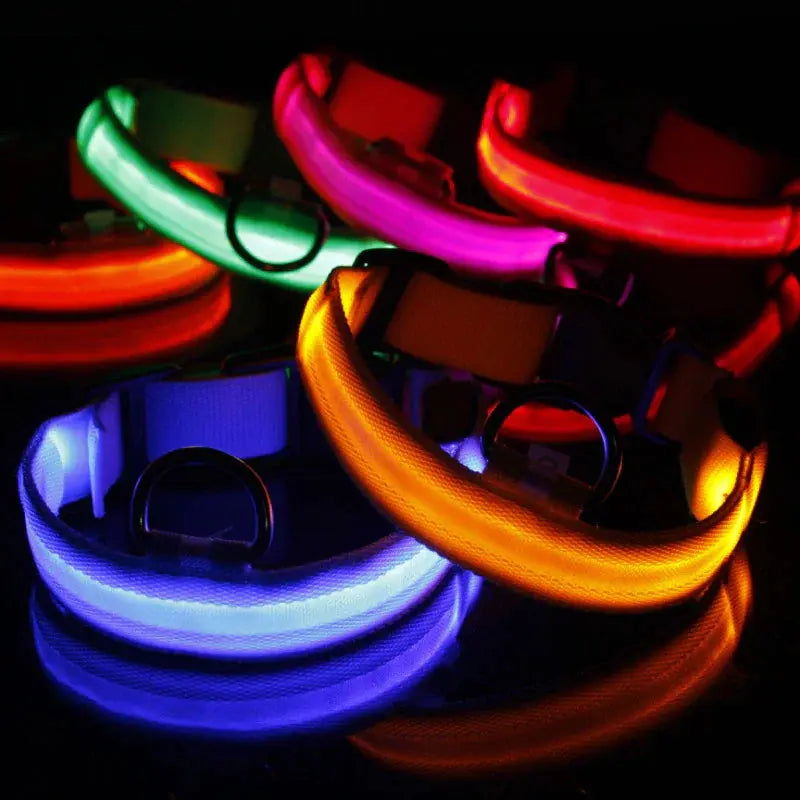 Glowing Safety LED Dog Collar BabyFour