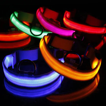 Glowing Safety LED Dog Collar BabyFour