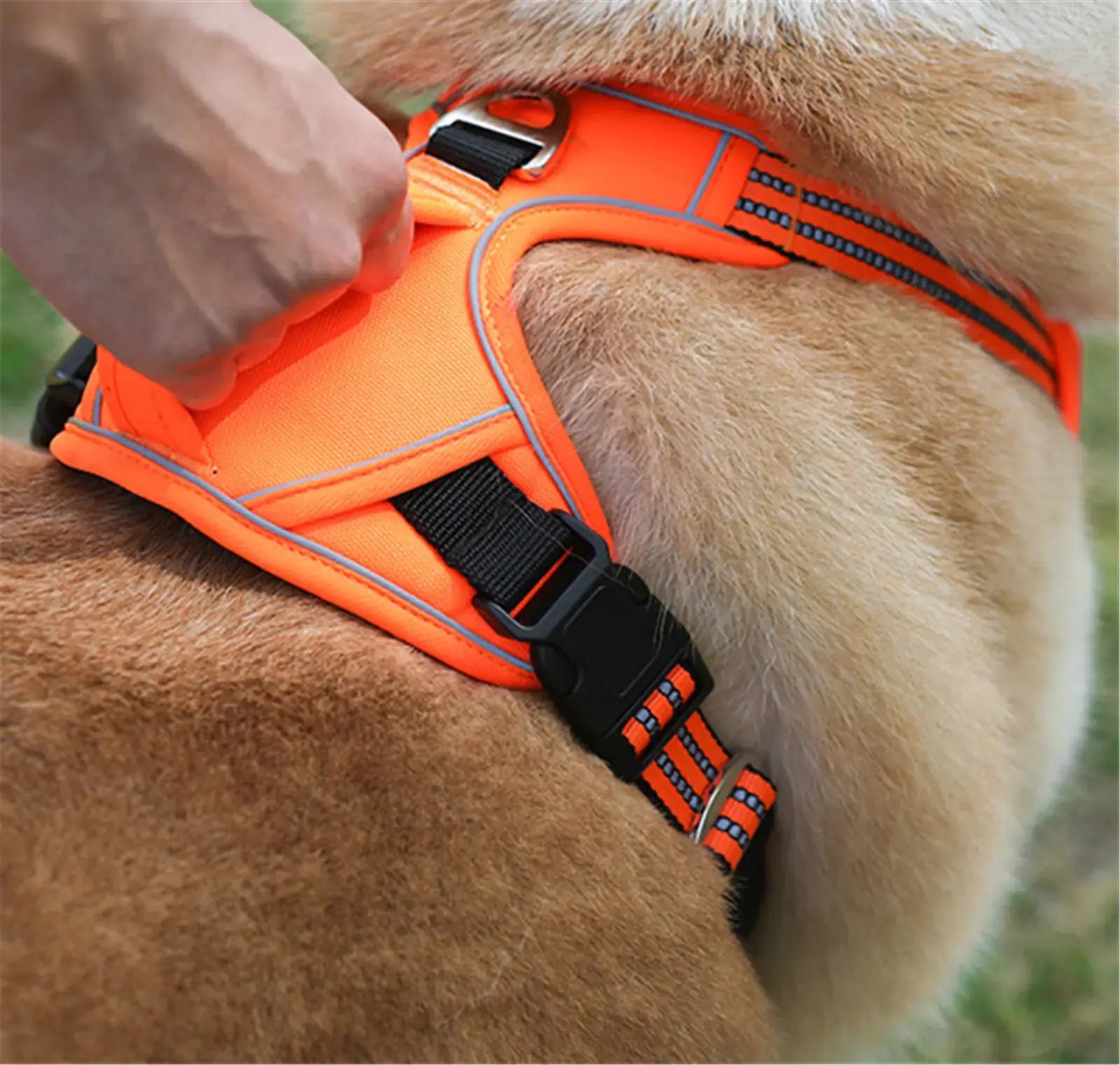 All-Weather Comfort Pet Harness BabyFour