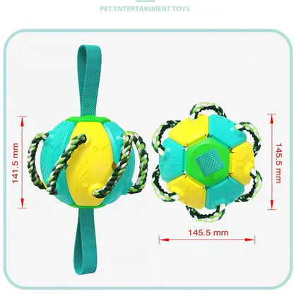 Pet Supplies Throwing Frisbee Outdoor Training Interactive Frisbee Football Dog Toy